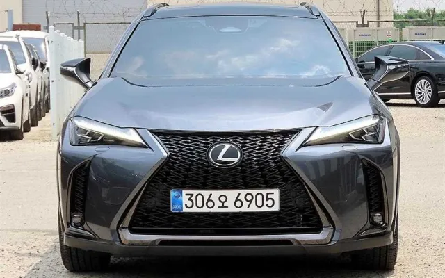 UX 300h 2.0 F 스포츠