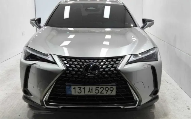 UX 300h 2.0